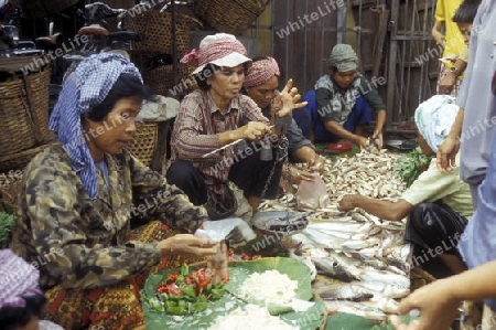 the market in the city of phnom penh in cambodia in southeastasia. 