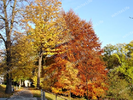 Herbstlandschaft-6