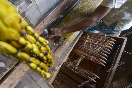 a women in a traditional weaving workshop Factory near the Village of Phaung Daw Oo at the Inle Lake in the Shan State in the east of Myanmar in Southeastasia.