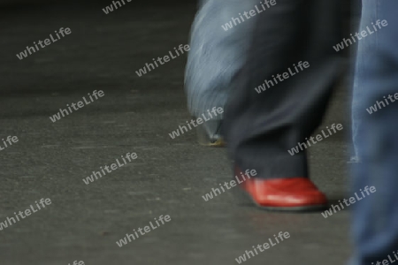 Lonely Red Shoe