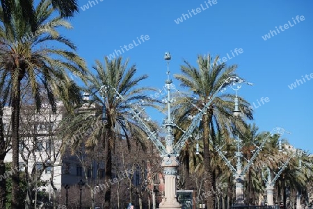 Palmenallee mit Jugendstil Laternen in Barcelona