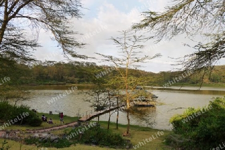 Kenia - Kratersee am Lake Naivasha