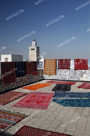 Eine Dachterrasse mit Teppichen und die Moschee Zaytouna oder Grosse Moschee im Souq oder Bazzar in der Altstadt  von Tunis am Mittelmeer in Tunesien in Nordafrika..