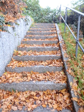 Treppe im Herbst 