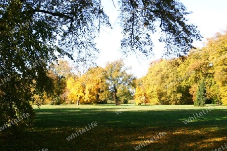 Herbststimmung im Neuen Garten Potsdams