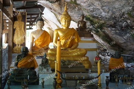 Buddha in Thailand (Krabi)