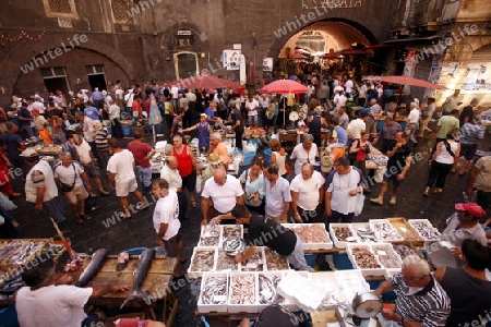 Europa, Italien, Sizilien, Catania
Der traditionelle Fischmarkt in der Altstadt von Catania an der Mittelmeer Kueste im osten von Sizilien.       (Urs Flueeler) 