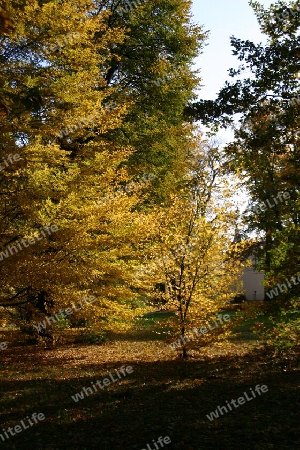 Herbststimmung im Park
