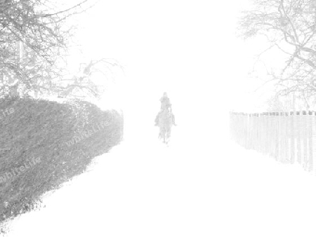 Reiter im Nebel