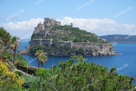 Landschaft mit Castello Aragonese, Ischia