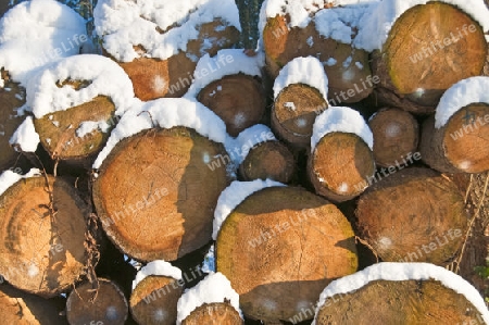 Brennholz im Schnee