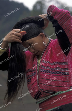 a farmer women in the rice fields of the village of Longsheng in the province Guangxi in south of China.