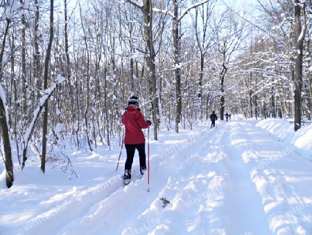 Wintersport im Stadtwald