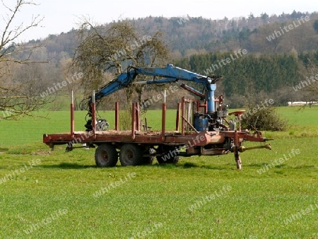 Holzwirtschaft P1250065