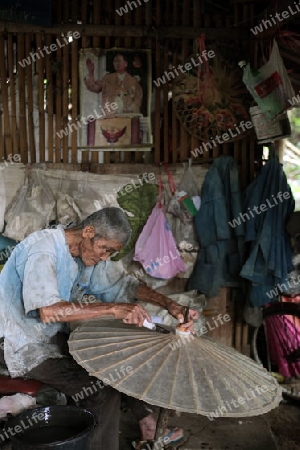 Die traditionelle Papierschirm Produktion in Chiang Mai im  Norden von Thailand. 