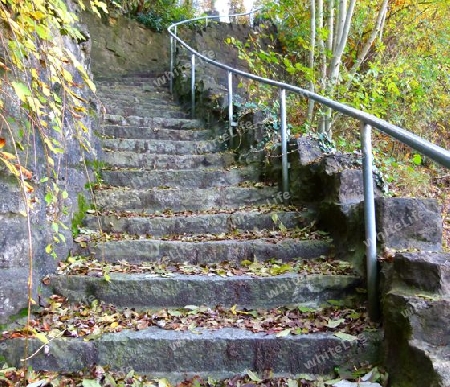 Naturstein-Treppe mit Laub  1