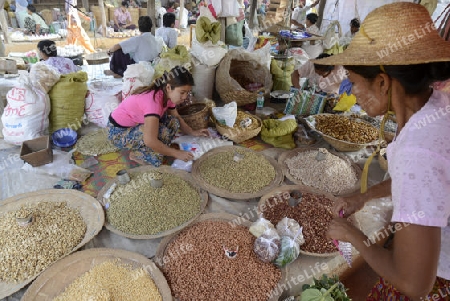 the market at the Village of Phaung Daw Oo at the Inle Lake in the Shan State in the east of Myanmar in Southeastasia.