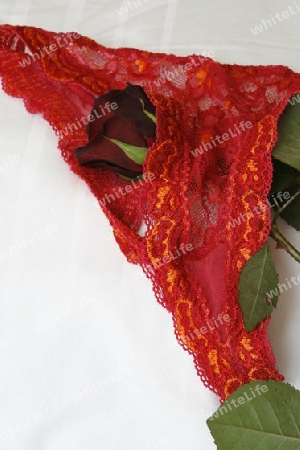 roter Stringtanga mit Rose, bedeckt
