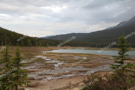 Landschaft im Jasper National Park