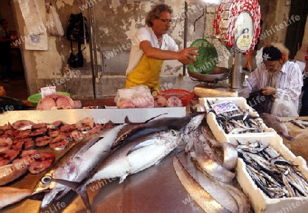 the fish market in the old Town of Siracusa in Sicily in south Italy in Europe.