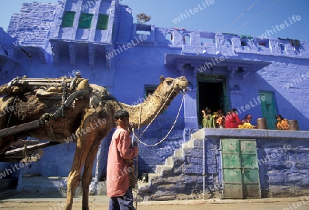 the blue city in the old town of Jodhpur in Rajasthan in India.
