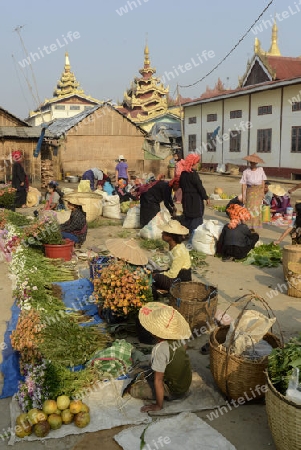 the market at the Village of Phaung Daw Oo at the Inle Lake in the Shan State in the east of Myanmar in Southeastasia.