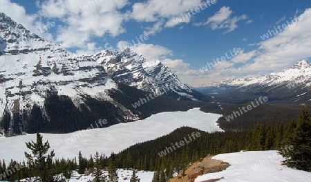 Frozen Peyto Lake in Banff National Park, Alberta, Panorama