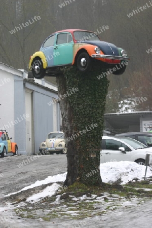 Auto auf Baum