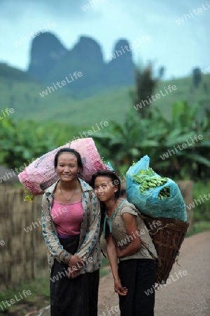 Menschen in der Landschaft in der Bergregion beim Dorf Kasi an der Nationalstrasse 13 zwischen Vang Vieng und Luang Prabang in Zentrallaos von Laos in Suedostasien.  