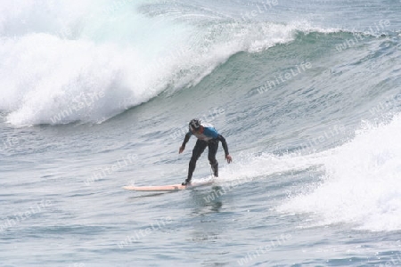 Surfer 001 