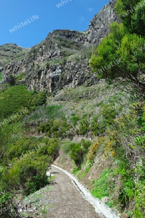 Levada Weg, Madeira