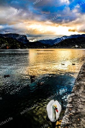 Die Sonnenuntergang von Bled