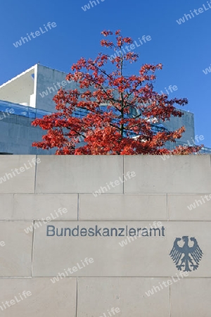 Schirftzug an der Umgebungsmauer der Kanzleramtes in Berlin, herbstlicher verfaerbter Ahorn (Acer),  Deutschland, Europa, oeffentlicherGrund