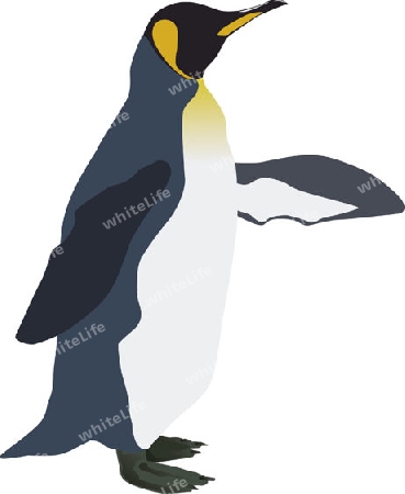 Pinguin Wegweiser