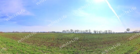 Beautiful high resolution panorama of a northern european country landscape with fields and green grass.