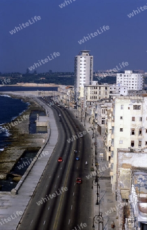 the Malecon road on the coast in the old townl of the city of Havana on Cuba in the caribbean sea