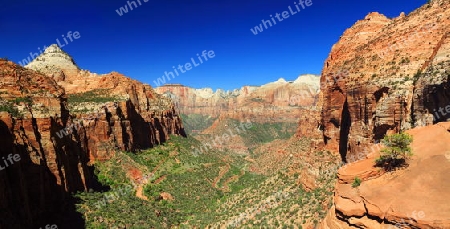 Canyon Overview, Zion National Park, Utah, Panorama