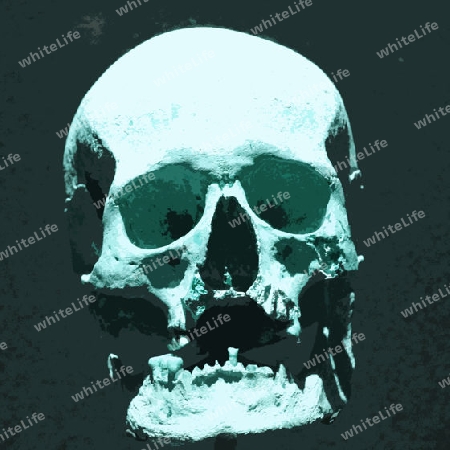Skull 006
