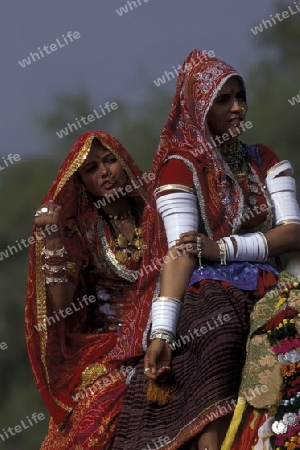 women at the kamel Festival in the town of Bikaner in the province Rajasthan in India.