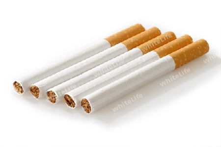 Aneinandergereihte Zigaretten auf hellem Hintergrund