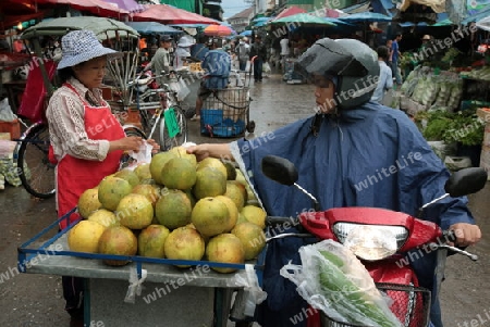 Menschen auf dem Grossen Lebensmittelmarkt von Talat Warorot in Chiang Mai im Norden von Thailand. 