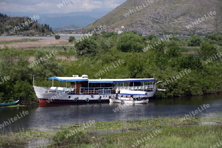 Die Landschaft in Virpazar am Skadar See suedwestlich der Hauptstadt Podgorica in Montenegro im Balkan in Osteuropa.  