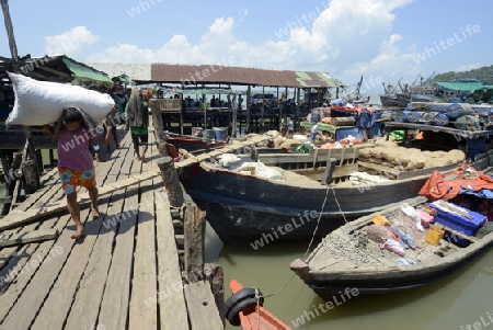 people at the Pier in the city of Myeik in the south in Myanmar in Southeastasia.