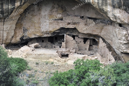 "Oak Tree House"   der indianischen Ureinwohner, ca. 800 Jahre alt, Mesa Verda NP, UNESCO Weltkulturerbe, Colorado, USA