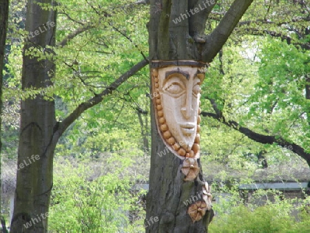 Baum Gesicht geschnitzt