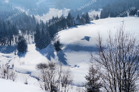Verschneites Tal in Tschechien