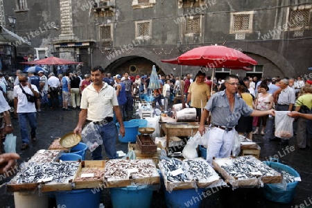 The Fishmarket in the old Town of Catania in Sicily in south Italy in Europe.