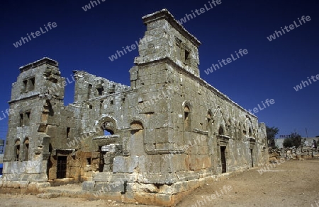 Die Basilika von Qalb Lhose bei Aleppo im Norden von Syrien im Mittleren Osten in Arabien.