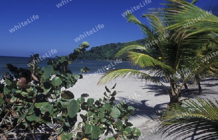 the Beach of Tela near San Pedro Sula on the caribian sea in Honduras in Central America,