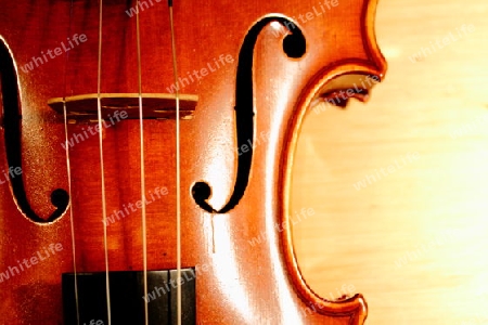 Geigenkorpus